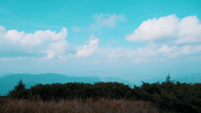 在雾蒙蒙的背景上漫步在风景如画的山上