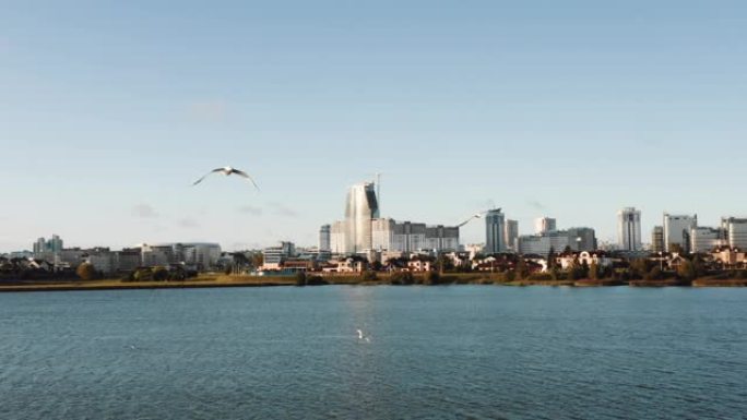 无人机在美丽的秋湖和现代未来派城市天际线上飞行，海鸥飞得离相机很近。