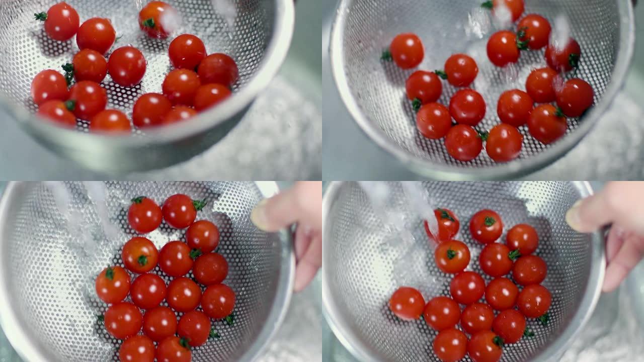洗迷你西红柿