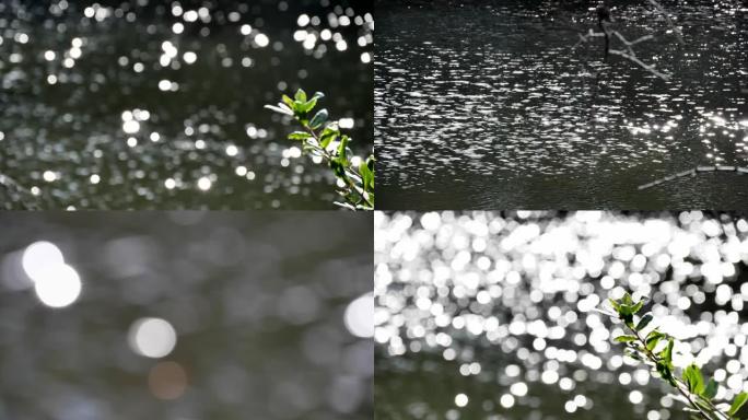 反射在水面上的光的反射