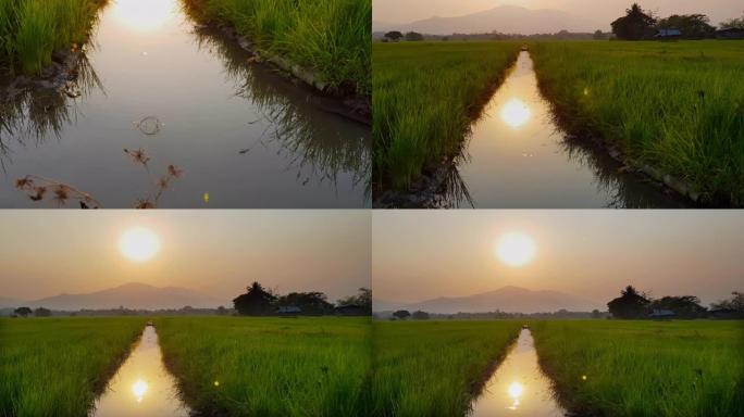 4K倾斜拍摄从水在稻田到金色日落和反射太阳在水与山在亚洲