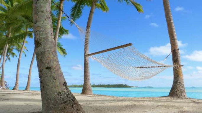 低角度: 热带沙滩上郁郁葱葱的棕榈树下的空绳吊床。