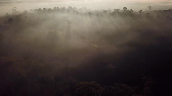 空中拍摄的日出在薄雾笼罩的森林中，太阳束在山上