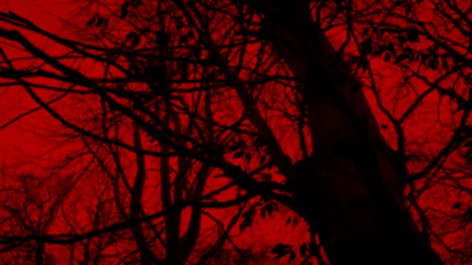 在红色天空的令人毛骨悚然的树木周围移动