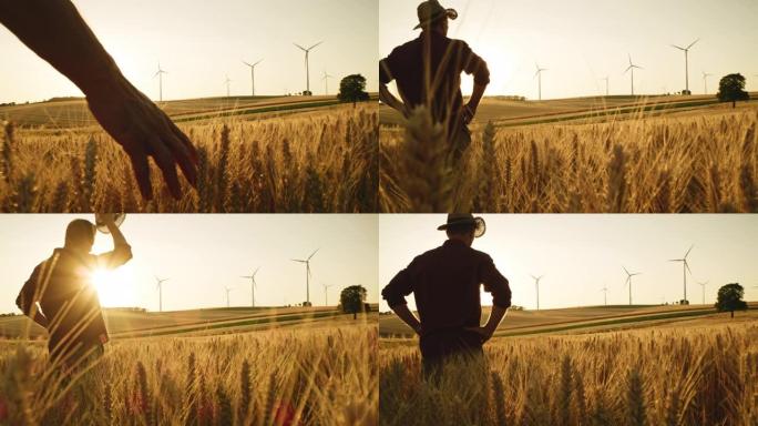 DS农民在日落时看着麦田中间的风力涡轮机