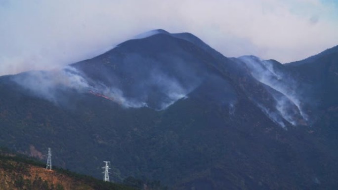 山火在，森林火有烟，4k