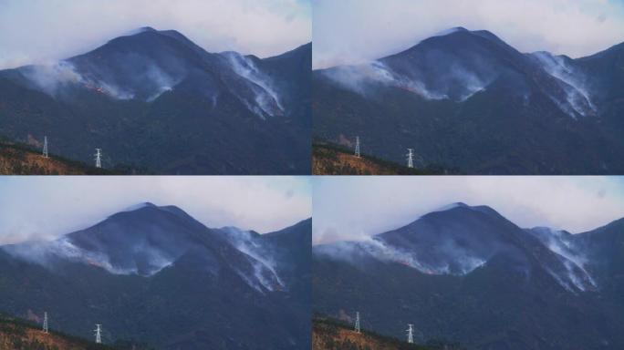 山火在，森林火有烟，4k