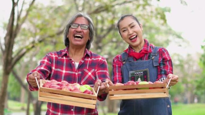 慢动作: 夫妻农夫拿着苹果篮子，他们微笑。