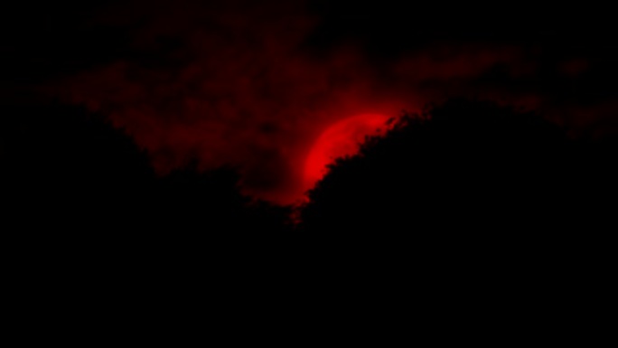 红月亮升起在森林后面