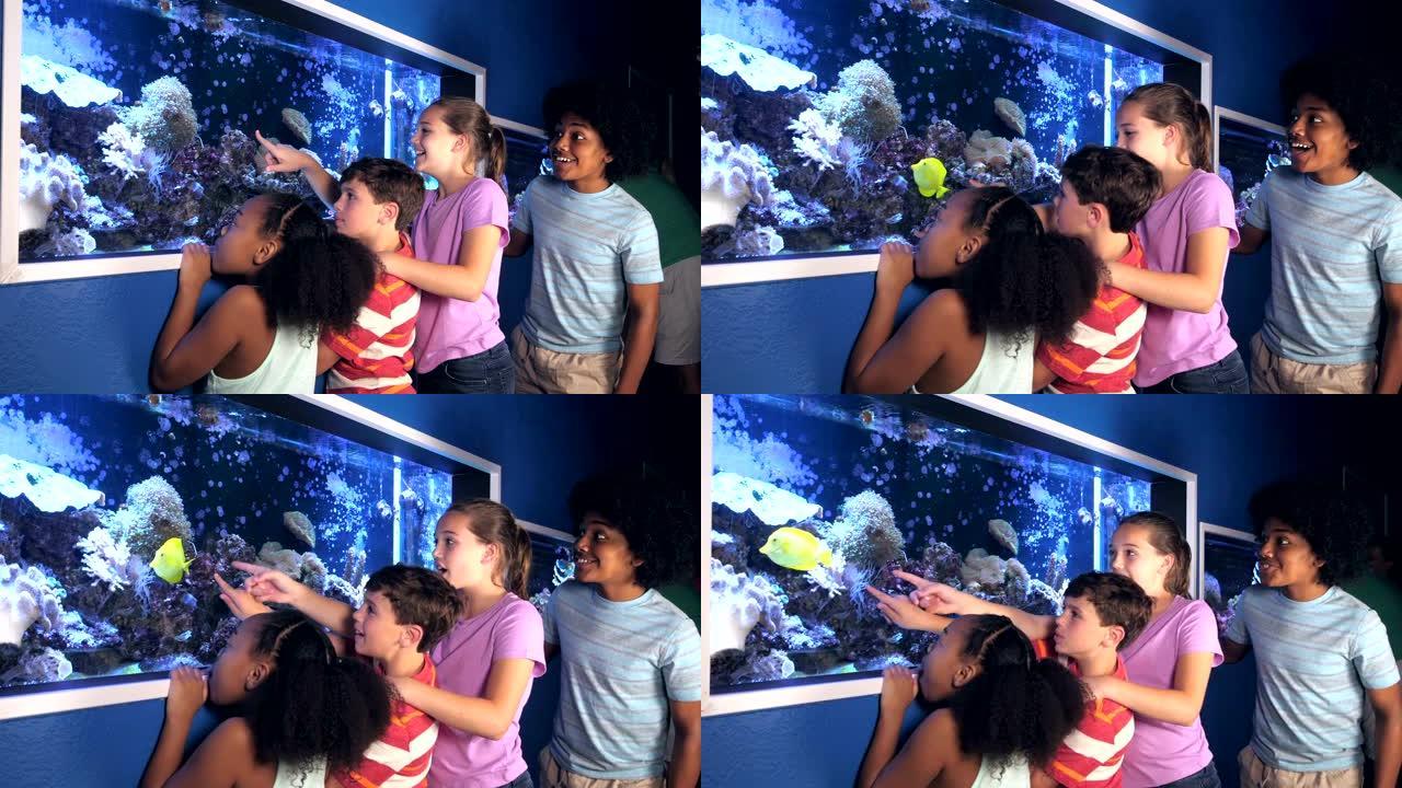 水族馆的孩子们对盐水鱼缸着迷