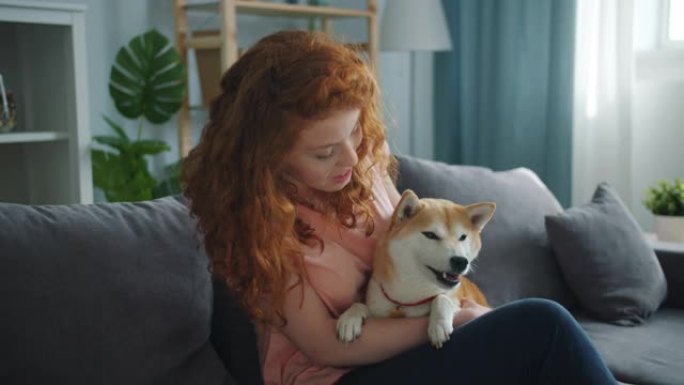 爱女人和可爱的狗说话，在公寓的沙发上抚摸动物