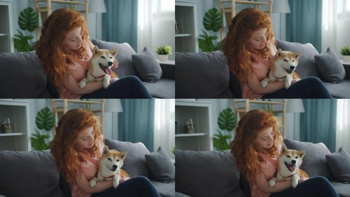 爱女人和可爱的狗说话，在公寓的沙发上抚摸动物