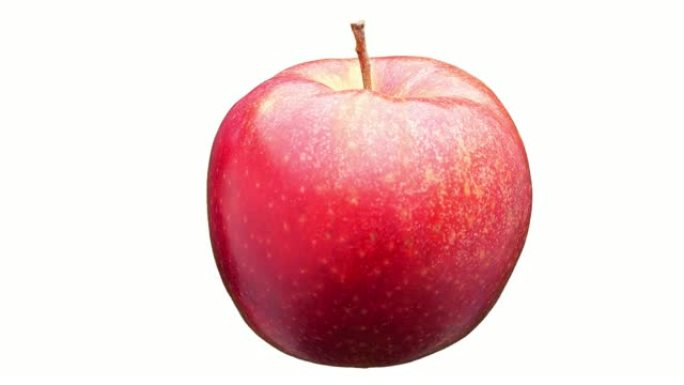 红苹果隔离。