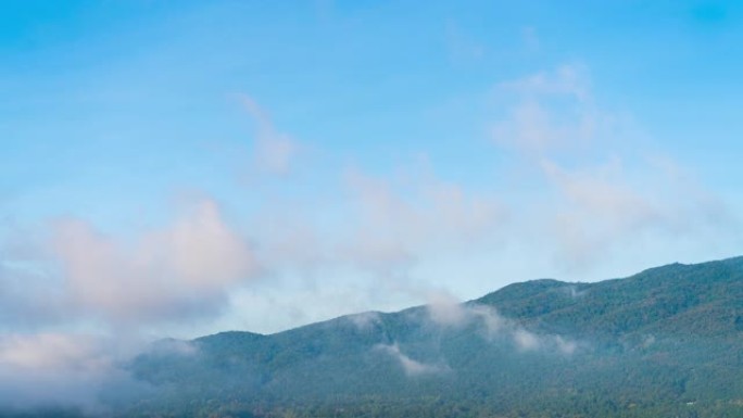 雾云山林的时间流逝