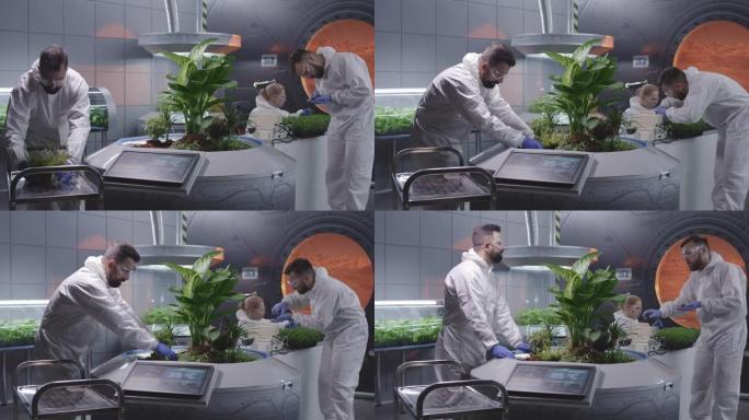 科学家照料火星花园