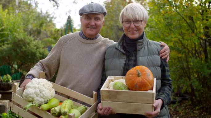 幸福的老年夫妇炫耀自己种植的蔬菜板条箱