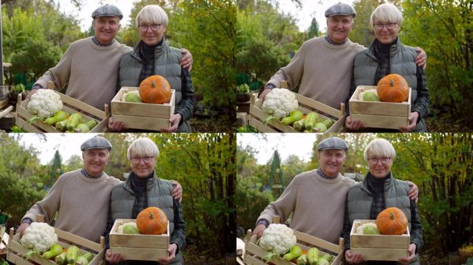 幸福的老年夫妇炫耀自己种植的蔬菜板条箱