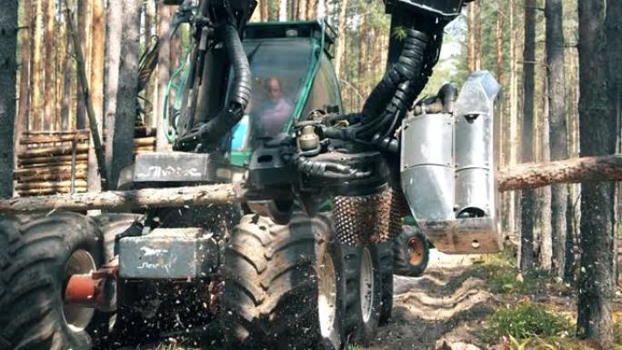 工业机器正在运输砍伐的树木并将其砍伐