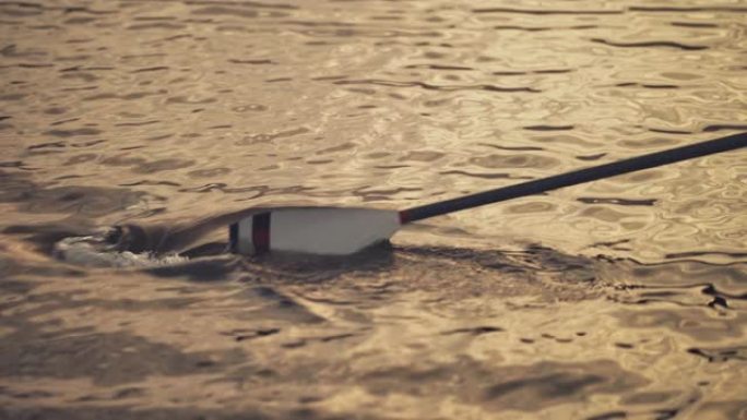日落时在河里划桨划桨划水皮划艇