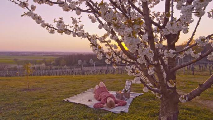 WS年轻女子日落时在田园诗山樱花树下的野餐毯上放松