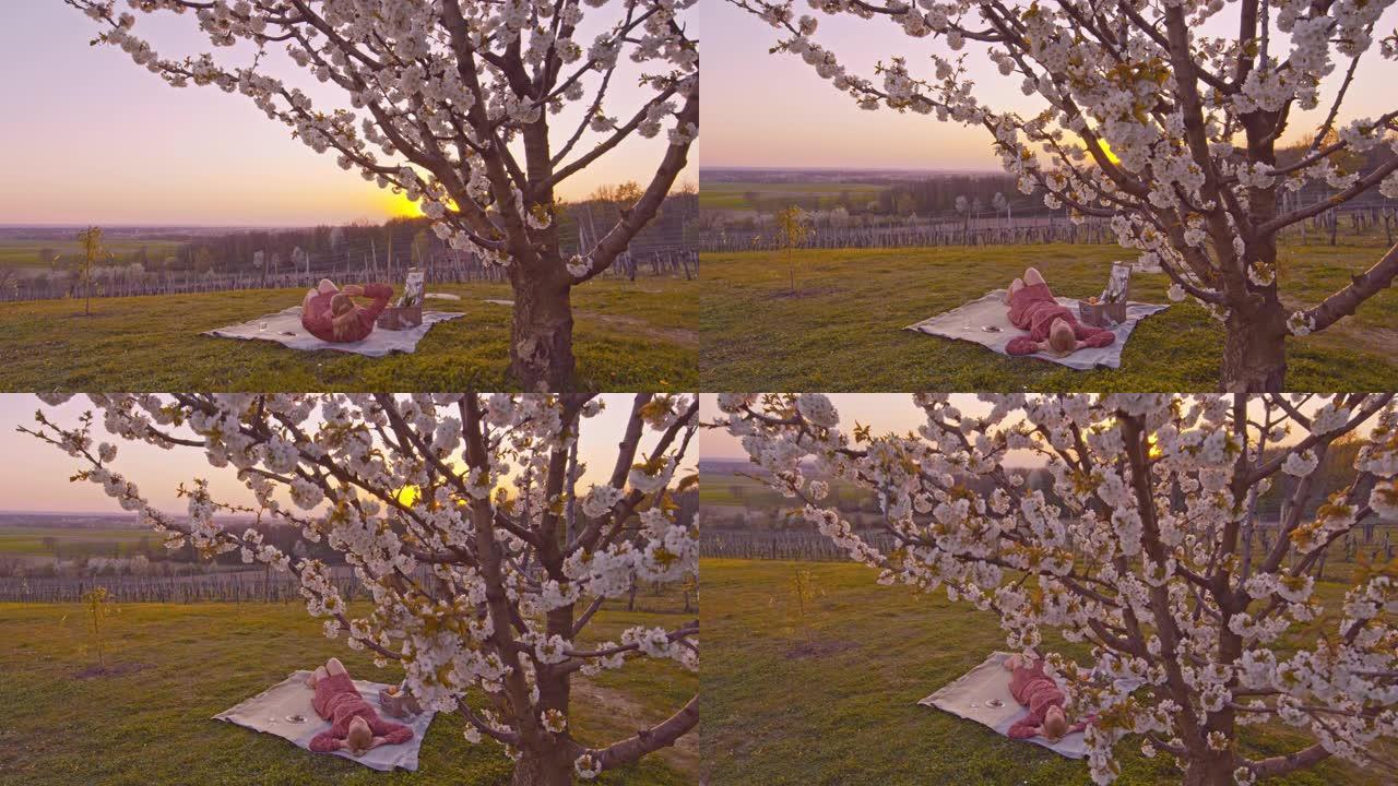WS年轻女子日落时在田园诗山樱花树下的野餐毯上放松