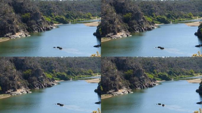 在津巴布韦的Save河中游泳的四只大象的4k高鸟瞰图