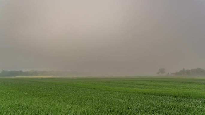 浮在田野上的T/L雾