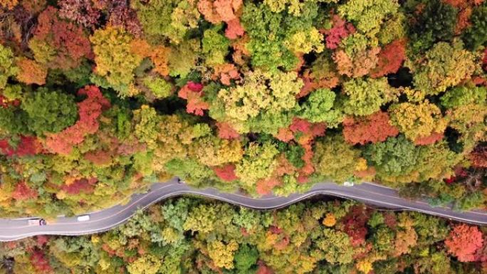 日本秋季山上道路的空中拍摄