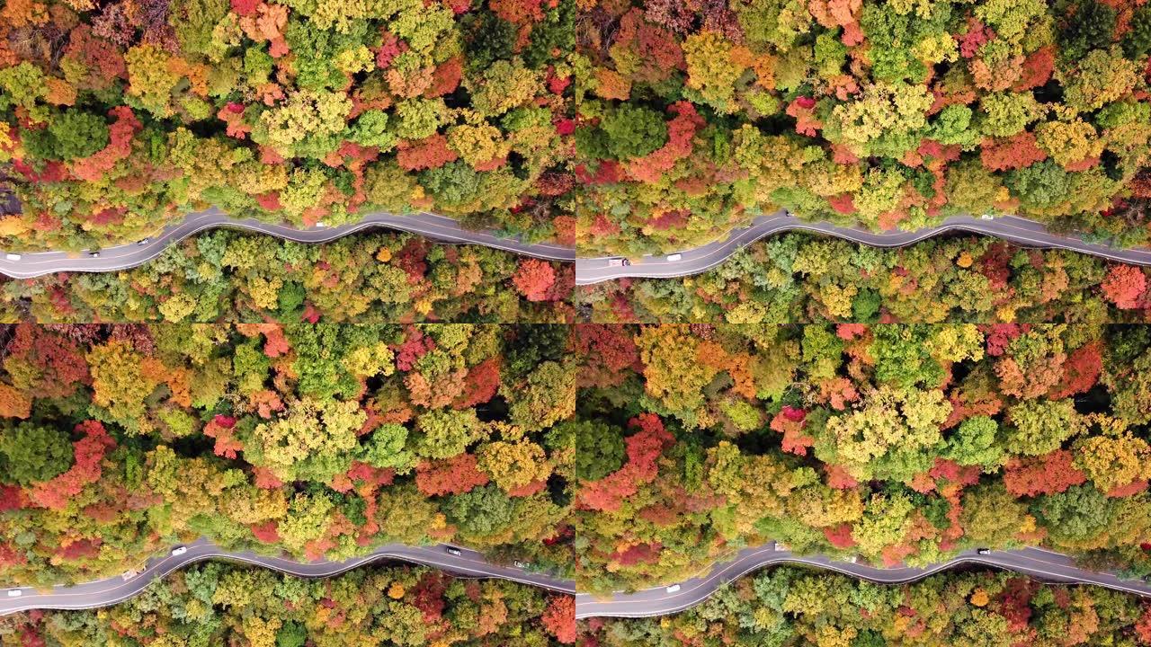 日本秋季山上道路的空中拍摄