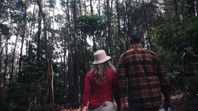 森林上的高级夫妇徒步旅行路线的后视图