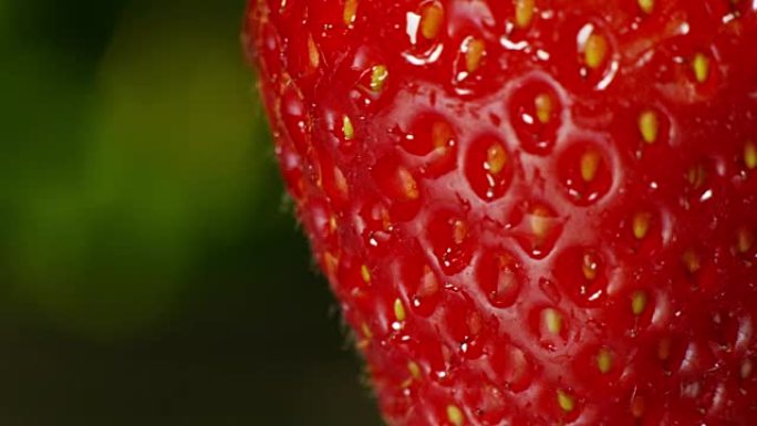 非常接近的细节新鲜草莓宏观彩色滴水纯净水
