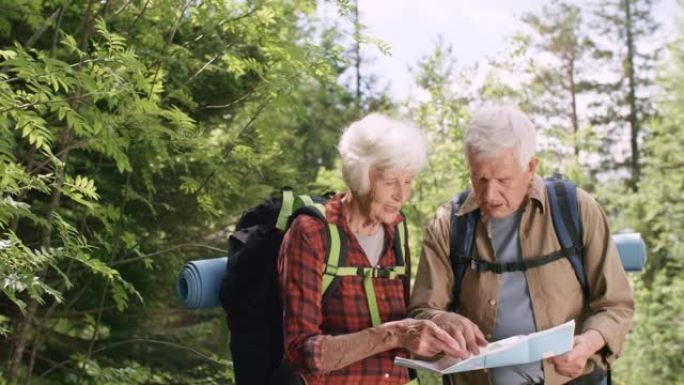 老年徒步旅行者在森林中讨论路线