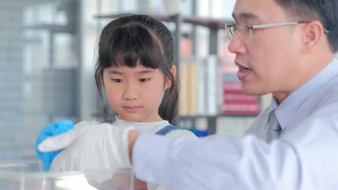 亚洲小孩女孩和老师在学校实验室看着老鼠。小女孩学习科学课。教育主题