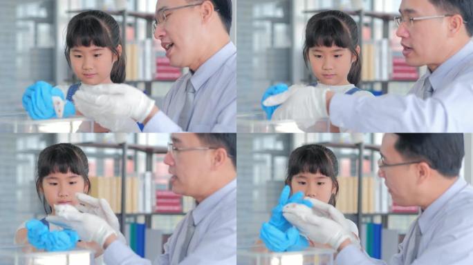 亚洲小孩女孩和老师在学校实验室看着老鼠。小女孩学习科学课。教育主题