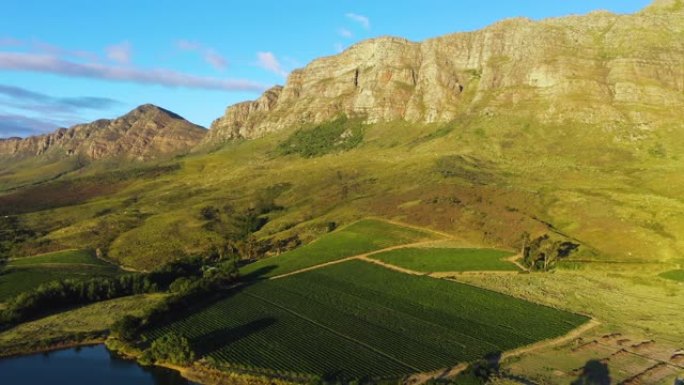 南非西开普省风景如画的葡萄酒庄园的葡萄园上空飞行的4k美丽的空中平移风景