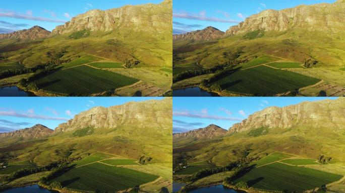 南非西开普省风景如画的葡萄酒庄园的葡萄园上空飞行的4k美丽的空中平移风景