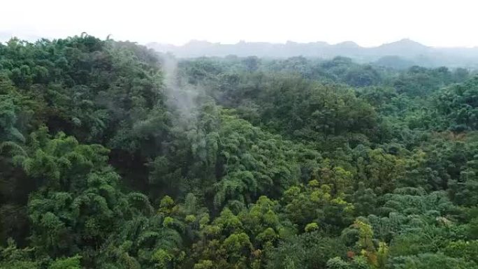 无人机在竹林山中飞行的鸟瞰图，4k