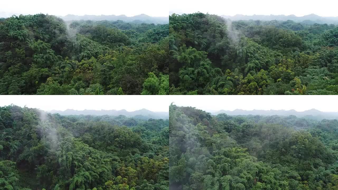 无人机在竹林山中飞行的鸟瞰图，4k