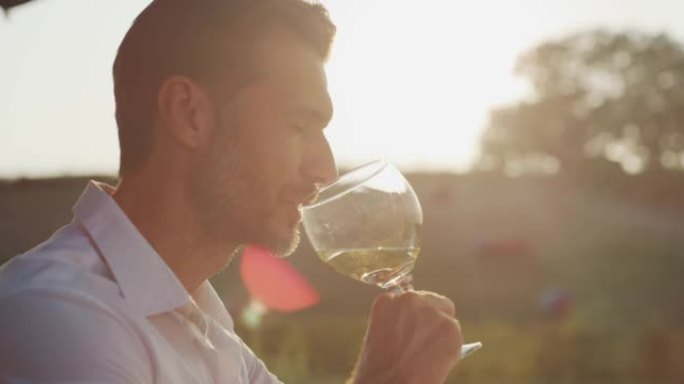 在日落时分，风景秀丽的葡萄园背景上品尝着一种味道，喝着用透明玻璃杯倒入的新鲜白葡萄酒。