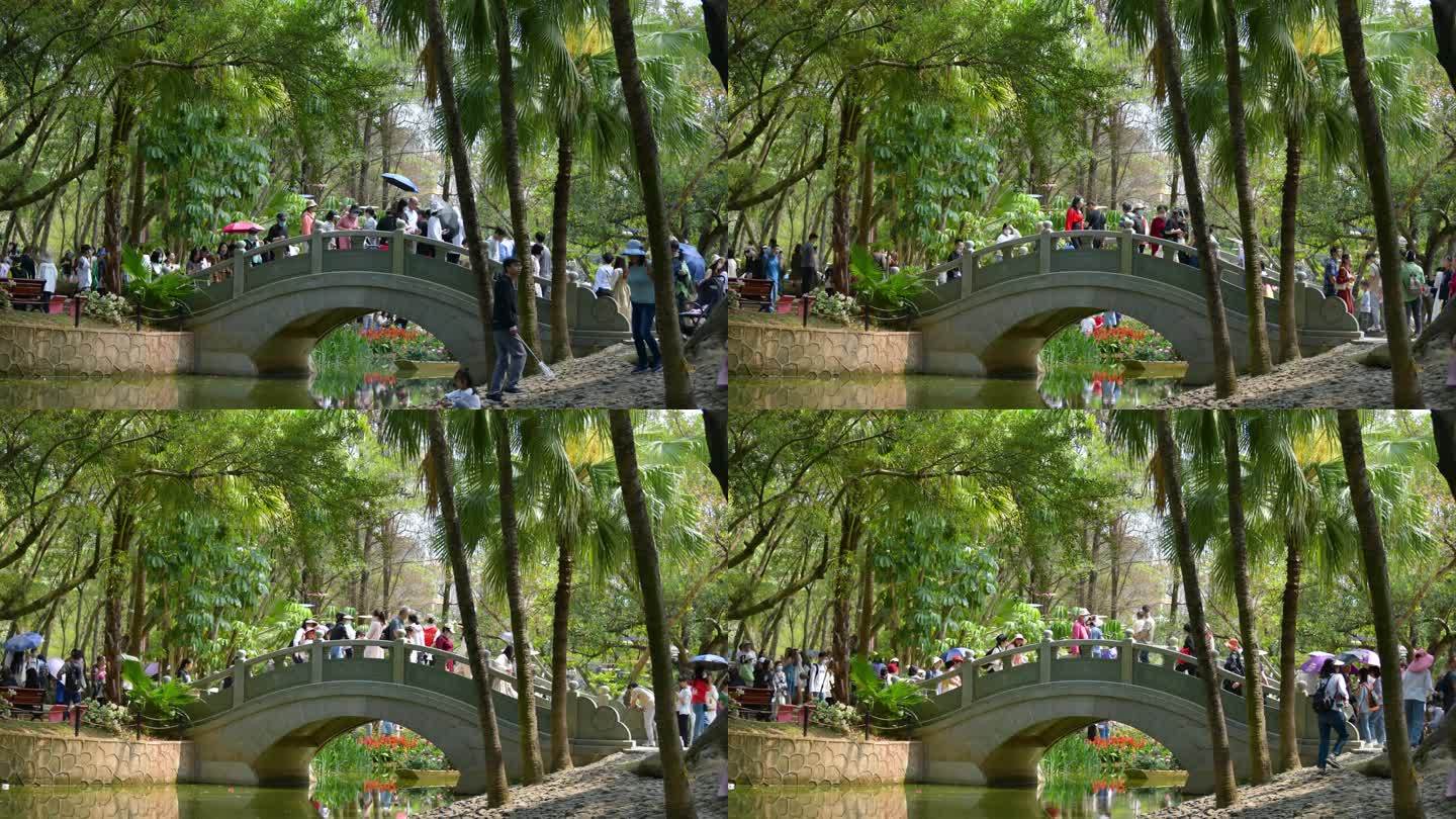 4K春季公园赏花的游客延时摄影