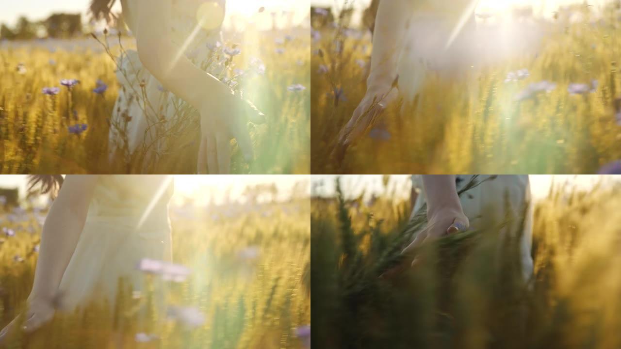 慢动作年轻女子在晴天穿过田野时触摸小麦