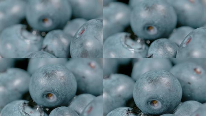 宏观，dop: 一篮子装满丰满的本土蓝莓的高细节照片。