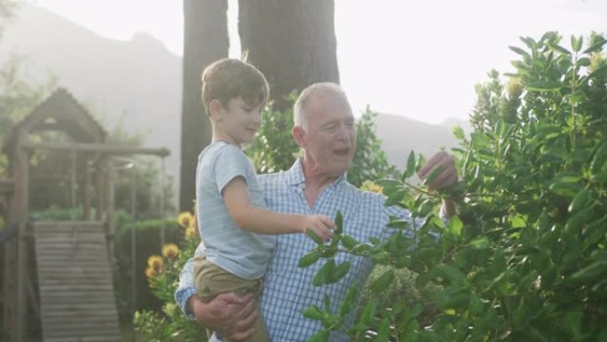 高个子高加索人背着孙子在花园里度过时光