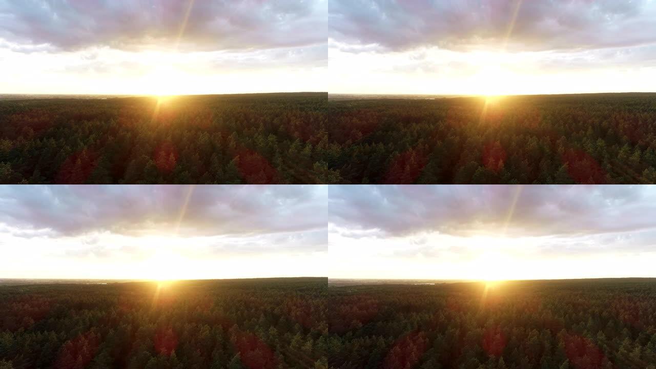 无人机在春季野生动物森林日落上空飞行。日出时在五颜六色的树木森林上进行电影空中拍摄。鸟儿在美丽的早晨