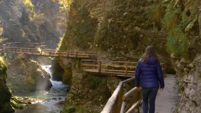 年轻的女性游客沿着木制小径穿过令人惊叹的Vintgar峡谷
