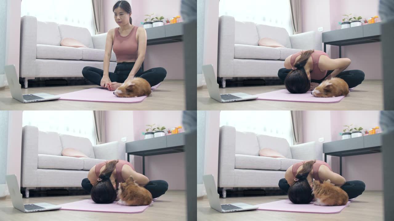 年轻的亚洲女性和她的狗一起锻炼
