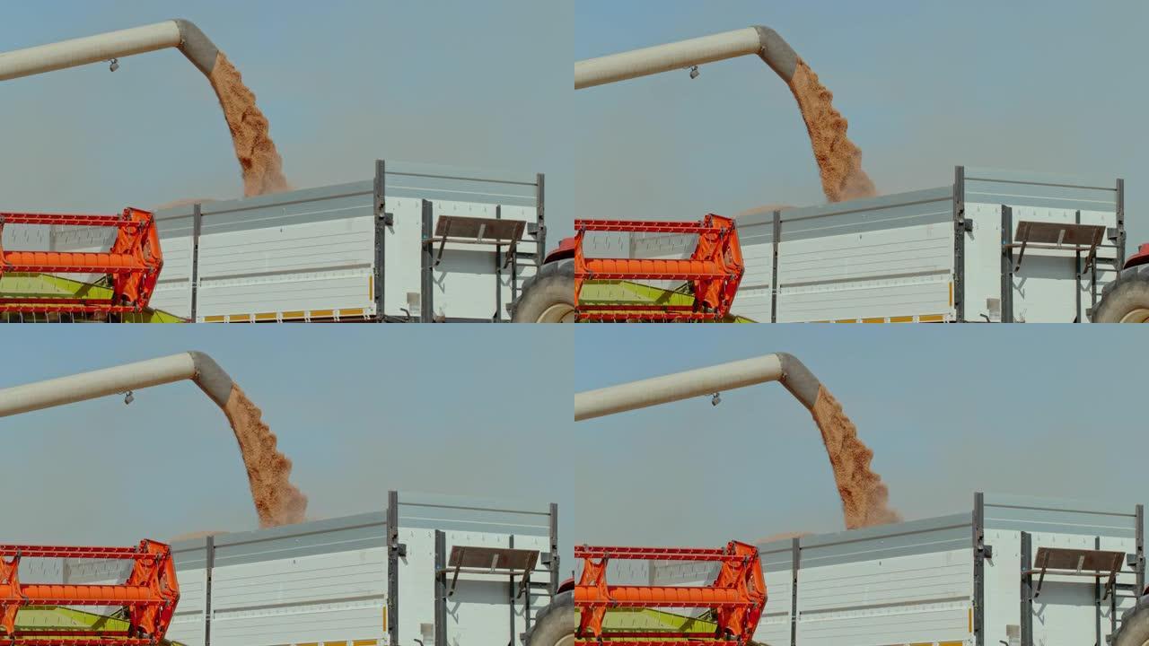速度坡道联合收割机在拖车上卸载小麦