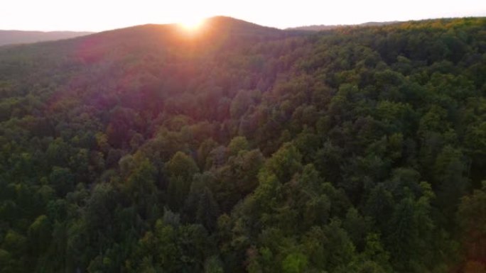 空中: 秋天早晨的第一缕阳光触及丘陵森林景观
