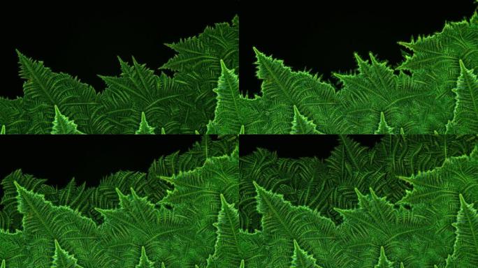 食用色素的晶体在显微镜下看起来像一个接一个地生长的植物
