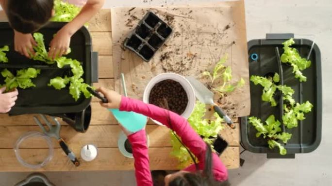 孩子们在家或学校园艺学习照顾植物和生态。幼儿一起从事生物学项目并拍照记录他们的进度的俯视图